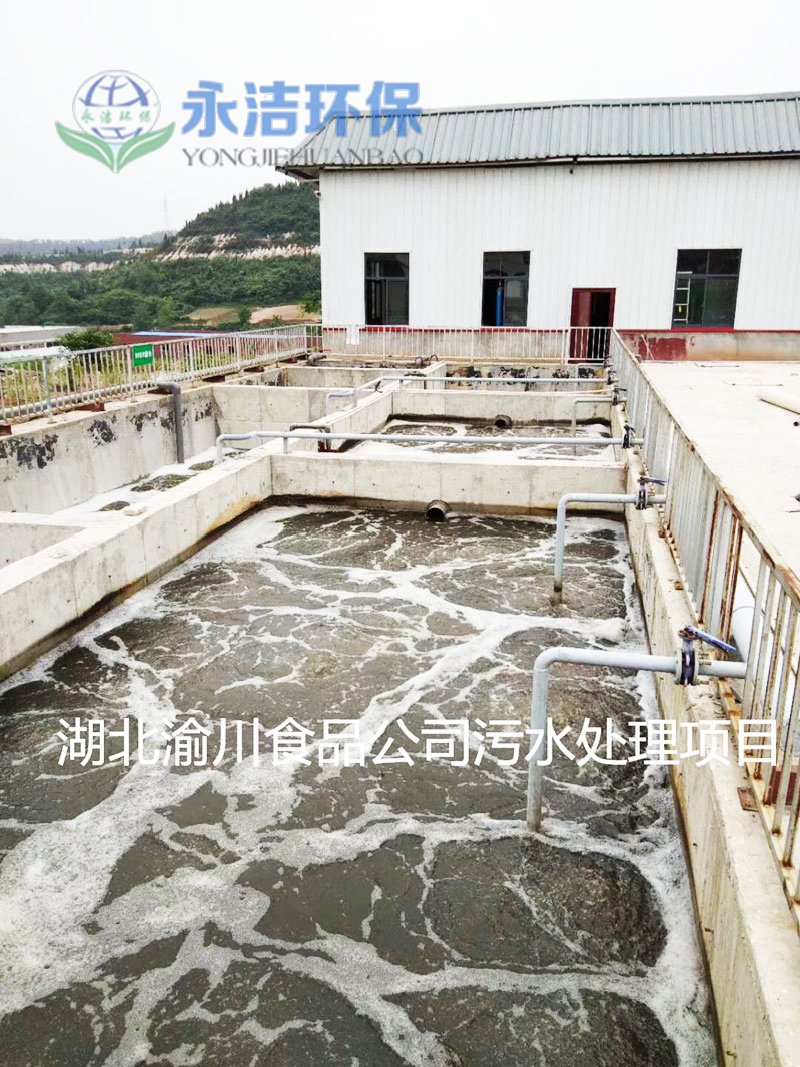 &#21315;&#20159;&#25163;&#26426;&#32593;&#39029;&#29256;&#30331;&#24405;&#20837;&#21475;&#45;&#21315;&#20159;&#40;&#20013;&#22269;&#41;
